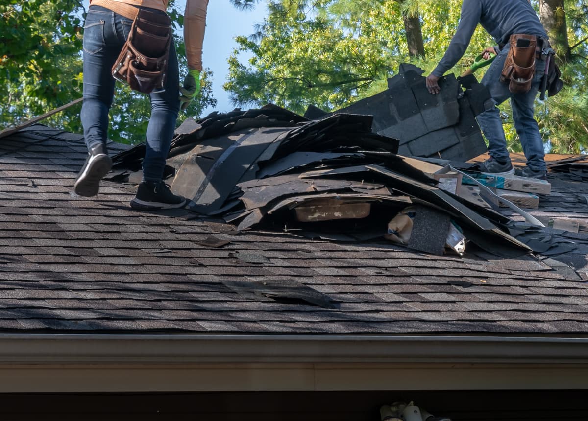 Roof repairs and maintenance