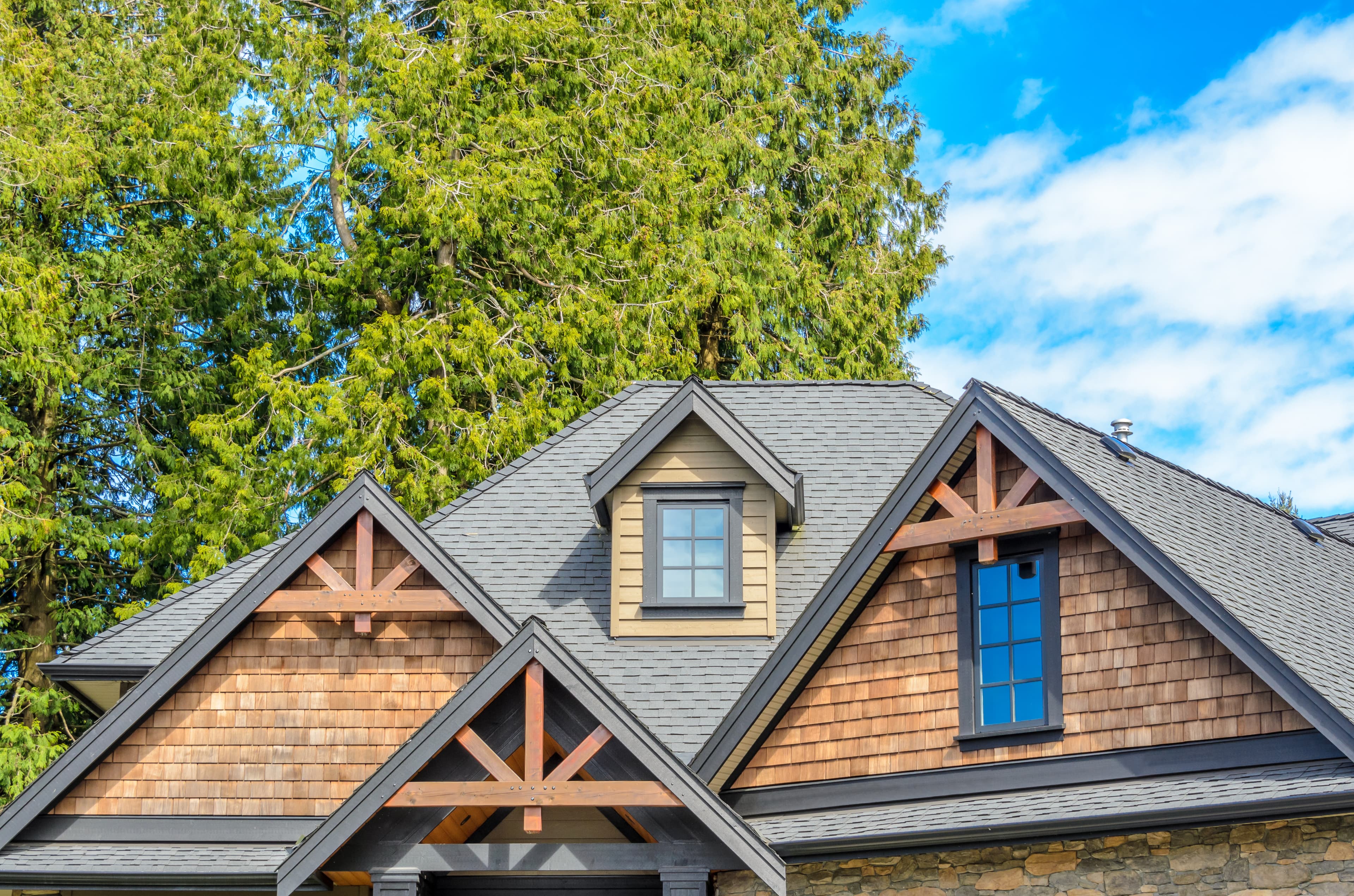 Professional roofing services